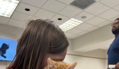 Orange Park Library to host cat cafe in May – 104.5 WOKV