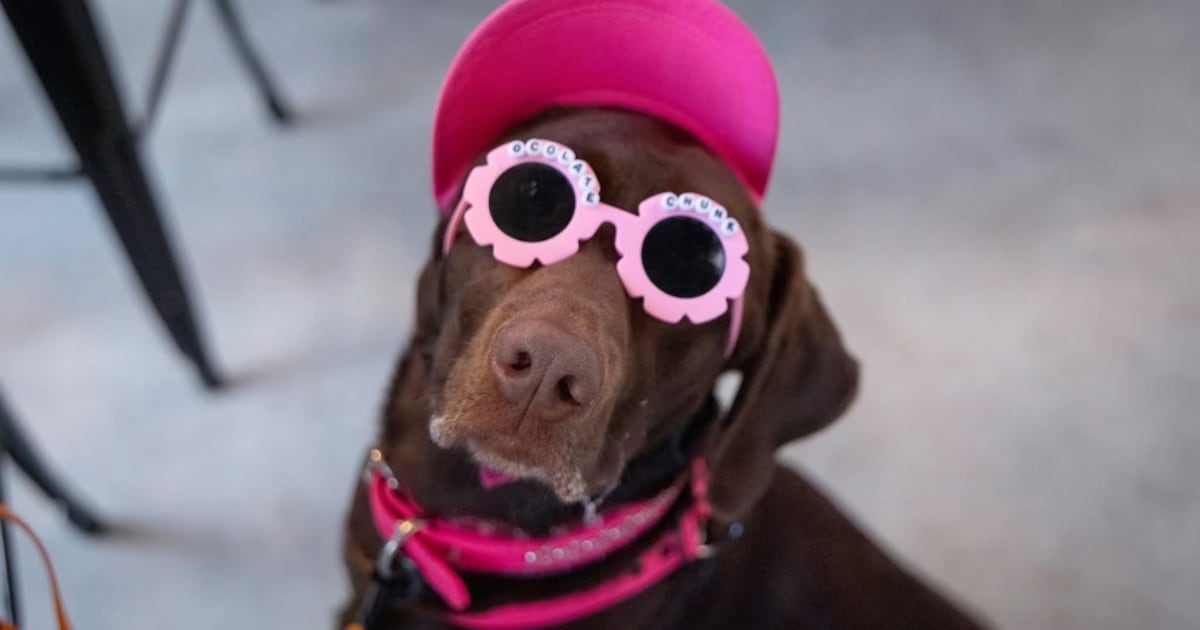 Orlando's BarkHaven to host Barkchella music festival