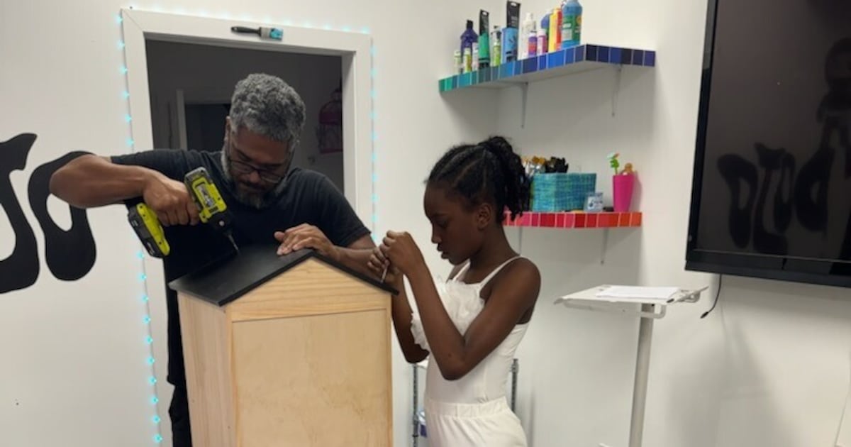 Little Free Libraries coming to Jacksonville parks, unveiling set for April 24 – Action News Jax