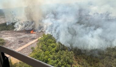 Highway 82 Fire continues to grow, more evacuations include Glynn and Wayne – Action News Jax