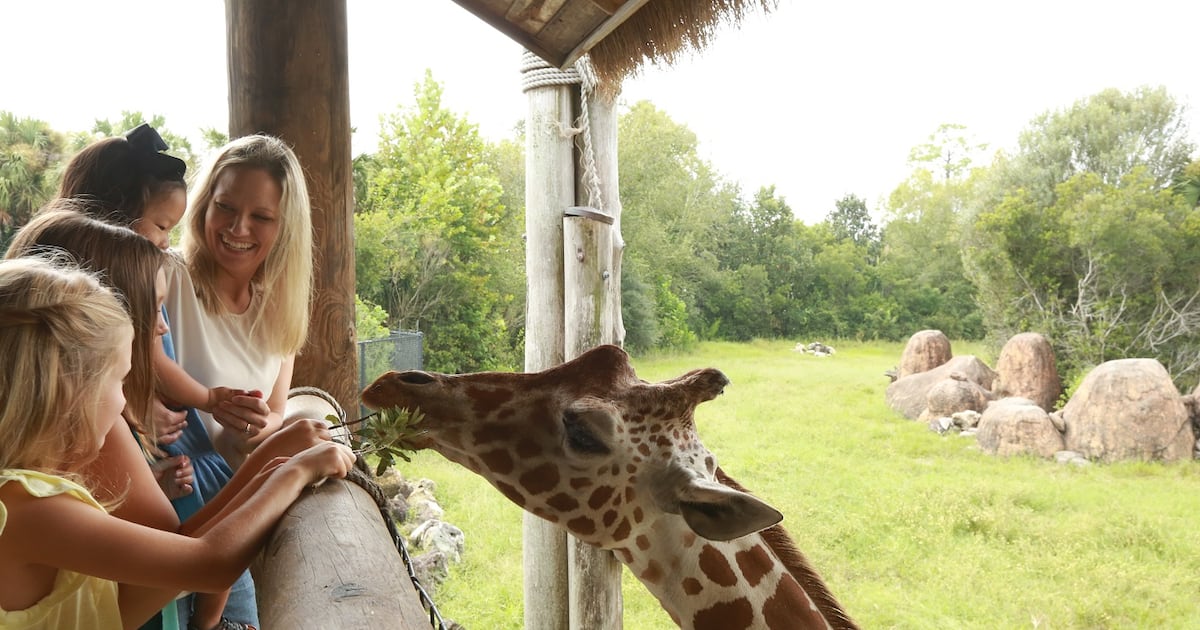 Free Entry for Moms at Jacksonville Zoo and Gardens ❤️ – 104.5 WOKV