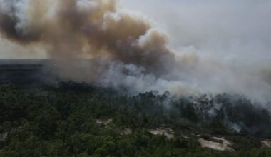 Florida Brushfires Spread Fast, Spark New Fire Concerns