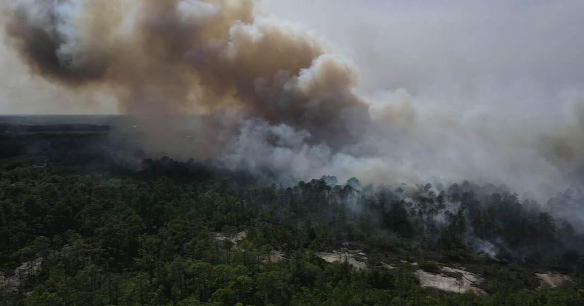 Florida Brushfires Spread Fast, Spark New Fire Concerns