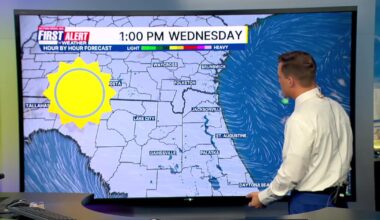 Warm afternoons continue – Action News Jax