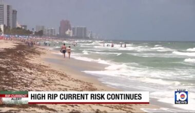 33 beachgoers in Hollywood rescued by Ocean Rescue over weekend amid rip currents