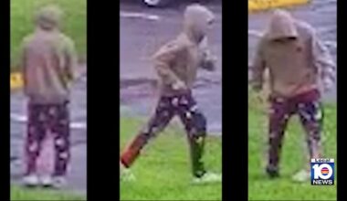 Teen, 17, arrested for alleged attempted sexual battery of woman in Weston