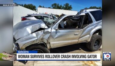 Florida woman survives rollover crash after hitting alligator on Easter morning