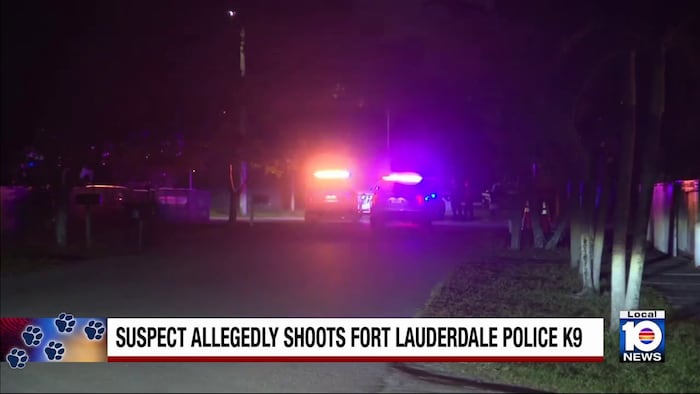 Burglary suspect shoots police dog during pursuit in Fort Lauderdale