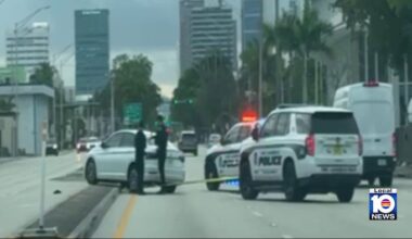 Police pursuit of stolen car driver ends with arrest in Fort Lauderdale