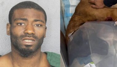 Burglary suspect accused of shooting police dog faces charges in Broward