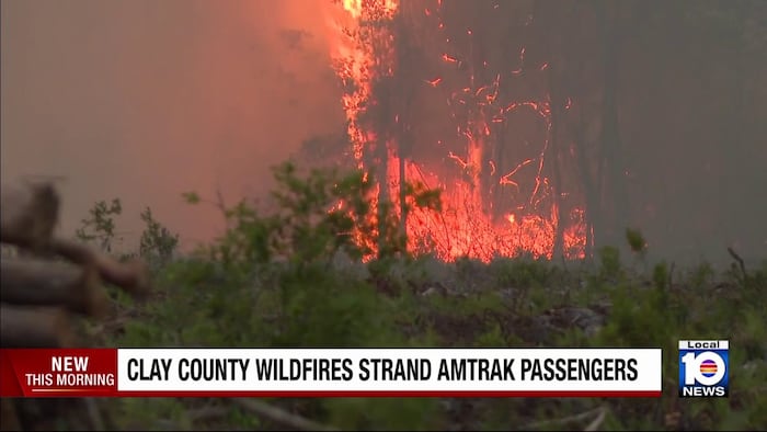 Amtrak cancels Florida auto train service as a wildfire disrupts routes