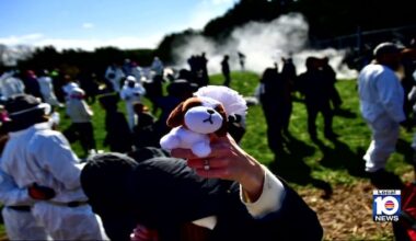 Protest at Wisconsin beagle facility turns chaotic as activists clash