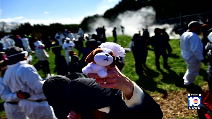 Protest at Wisconsin beagle facility turns chaotic as activists clash