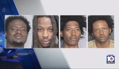 Mail theft ring busted in Davie after months of mailbox break-ins