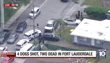 Man injured, 2 dogs dead, 2 dogs injured after dog fight and shooting in Fort Lauderdale