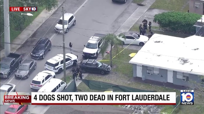 Man injured, 2 dogs dead, 2 dogs injured after dog fight and shooting in Fort Lauderdale