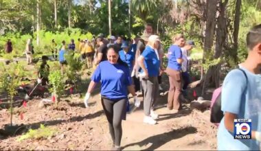 Volunteers plant hundreds of trees at Camp Mahachee in Miami-Dade