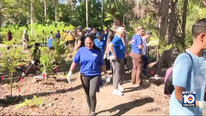 Volunteers plant hundreds of trees at Camp Mahachee in Miami-Dade