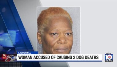 Woman faces charges accused of causing 2 dogs deaths in Broward