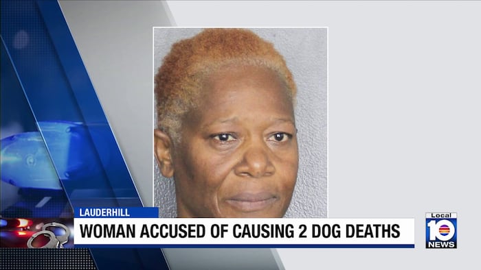 Woman faces charges accused of causing 2 dogs deaths in Broward