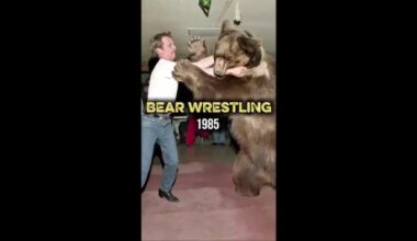 Bear wrestling at bars in the ’80s