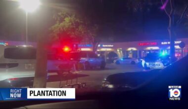 Fight, pistol-whipping outside Plantation Publix leads to 2 arrests, cops say