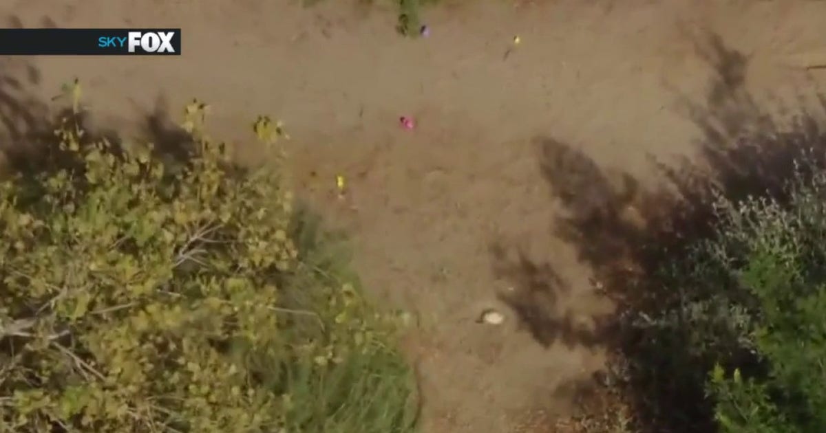 Human remains found during Easter egg hunt: LBPD