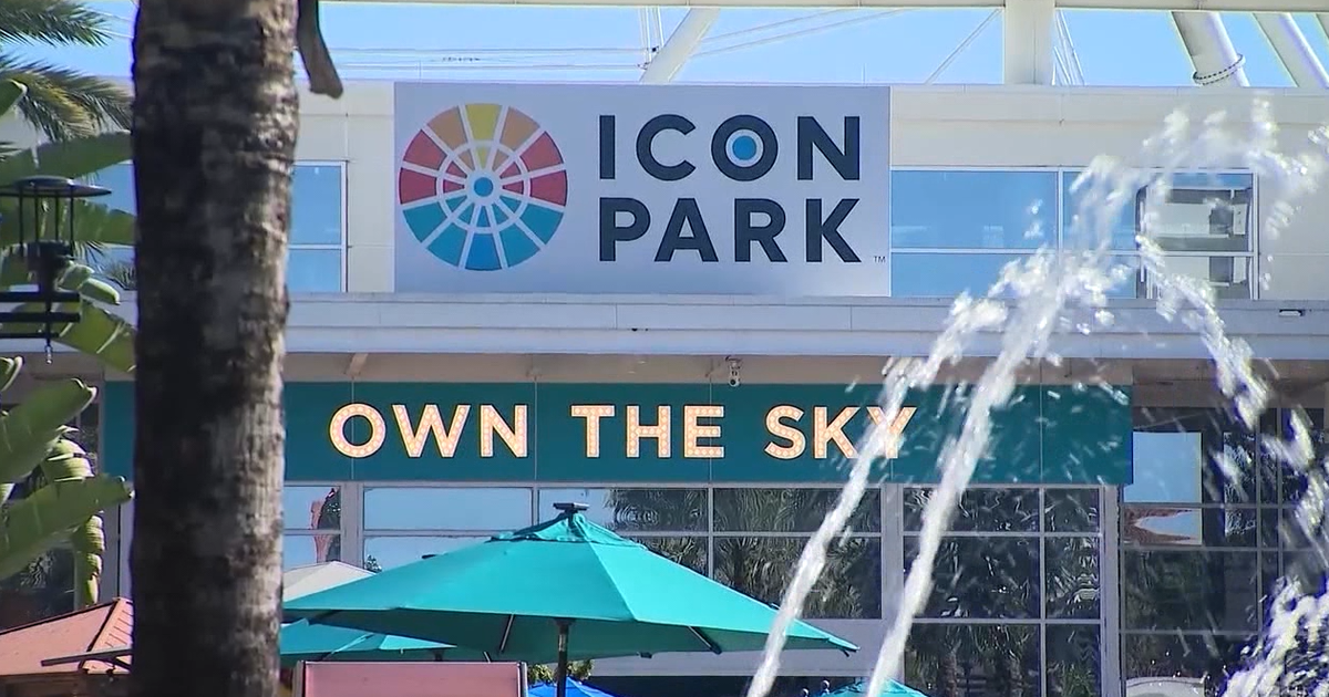 ICON Park chaperone policy: What it means