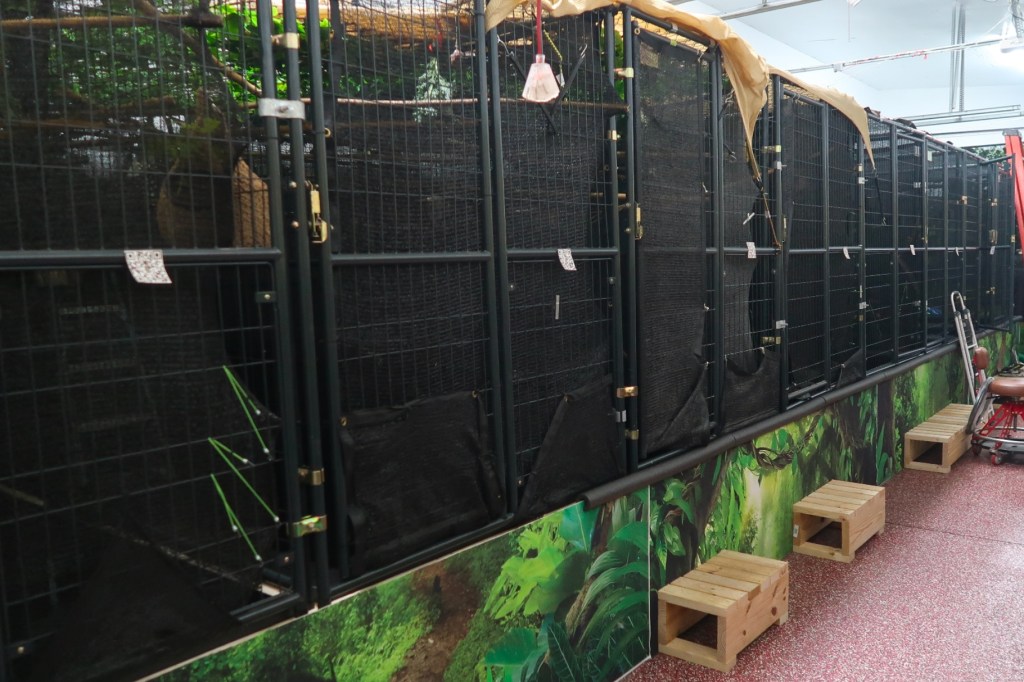 A row of cages inside Sloth World’s off-site warehouse on Aug. 7, 2025. More than 31 sloths have died in Sloth World’s care. Credit: Florida Fish and Wildlife Conservation Commission
