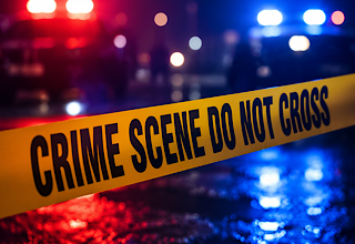 St. Petersburg Homicide Investigation Underway After Intruder Shot by Homeowner