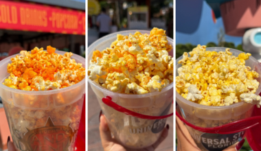 REVIEW: Bacon & Cheese, Maple Bourbon Habanero, and Garlic Parmesan Popcorn at Universal Islands of Adventure
