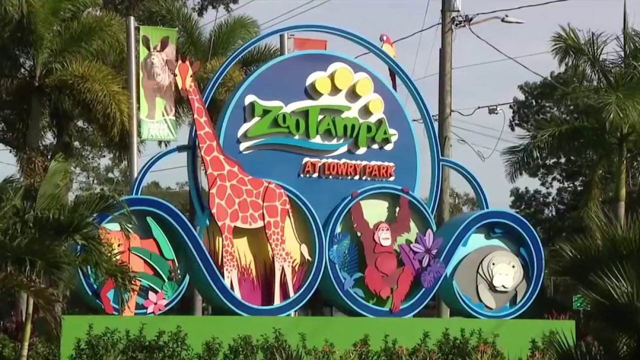 Plans to expand ZooTampa