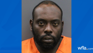 3-year-old shoots himself in arm after Tampa man leaves gun unattended: TPD