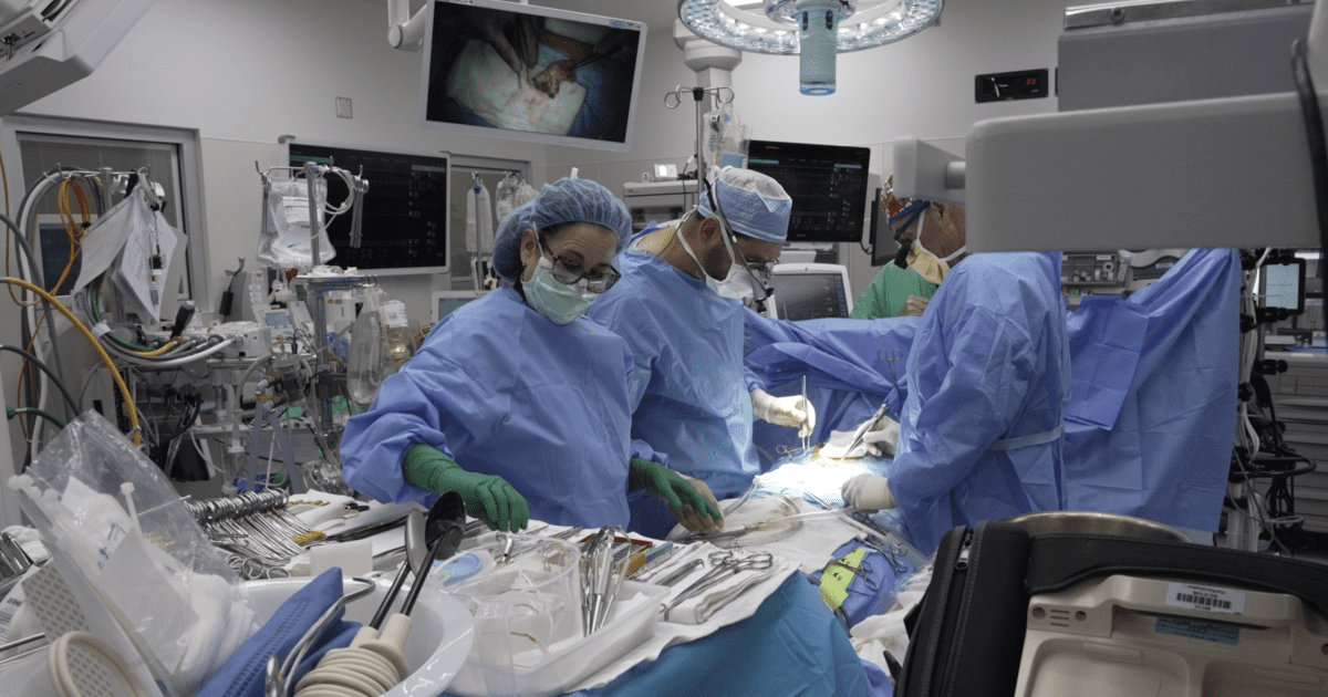 First partial heart transplant in Florida gives children a life-changing alternative to repeat surgeries | FIU News