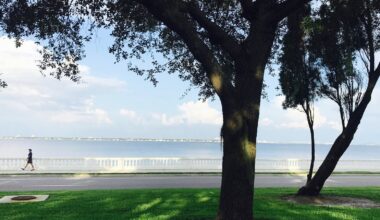 Tampa's Walkable Neighborhood Is A Charming Sought-After Gem With Waterfront Views And Boutique Shops