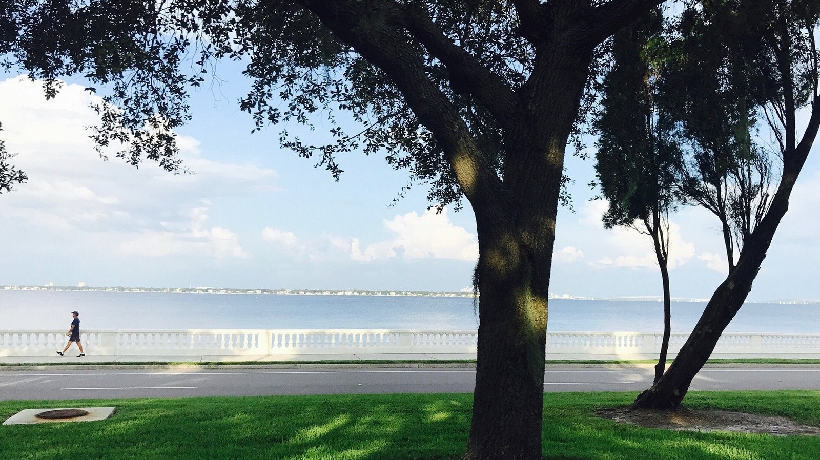 Tampa's Walkable Neighborhood Is A Charming Sought-After Gem With Waterfront Views And Boutique Shops