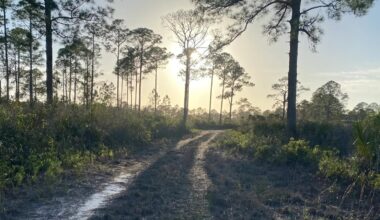 Between Tampa And Tallahassee Is A Scenic Florida State Park For Hiking Trails, Fishing, And Biking