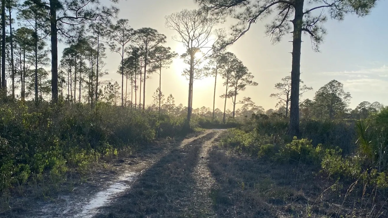 Between Tampa And Tallahassee Is A Scenic Florida State Park For Hiking Trails, Fishing, And Biking