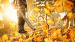 A leaf blower in action (iStock image)