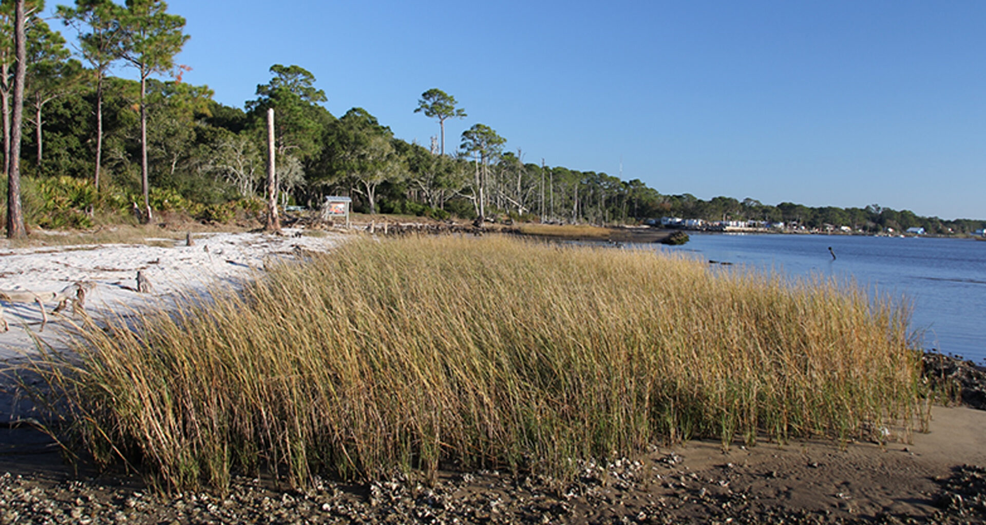 With new law, Florida will use nature as a protection from sea-level rise