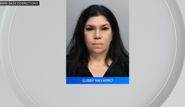 Former Miami-Dade School Board member pleads guilty to stealing $100,000 to fund lavish lifestyle