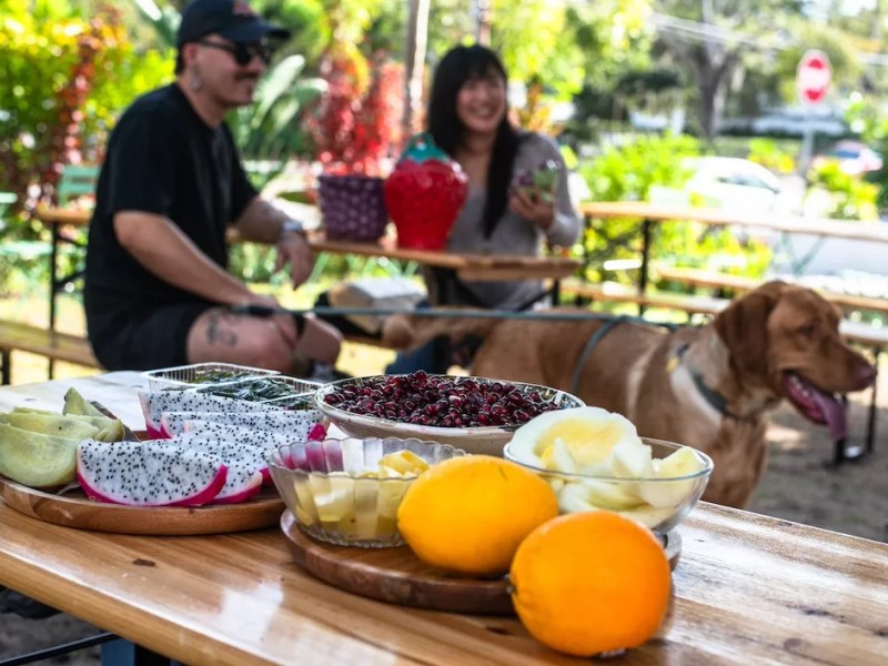 Orlando food events: Kaya celebrates Earth Day Boogie; OSC’s Science and Wine party returns