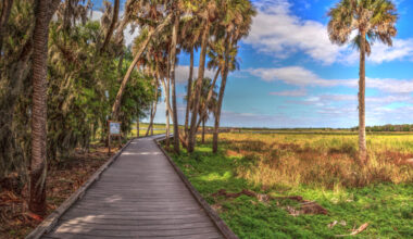 Florida’s land conservation strategy is being rewritten — and nature will pay the price 