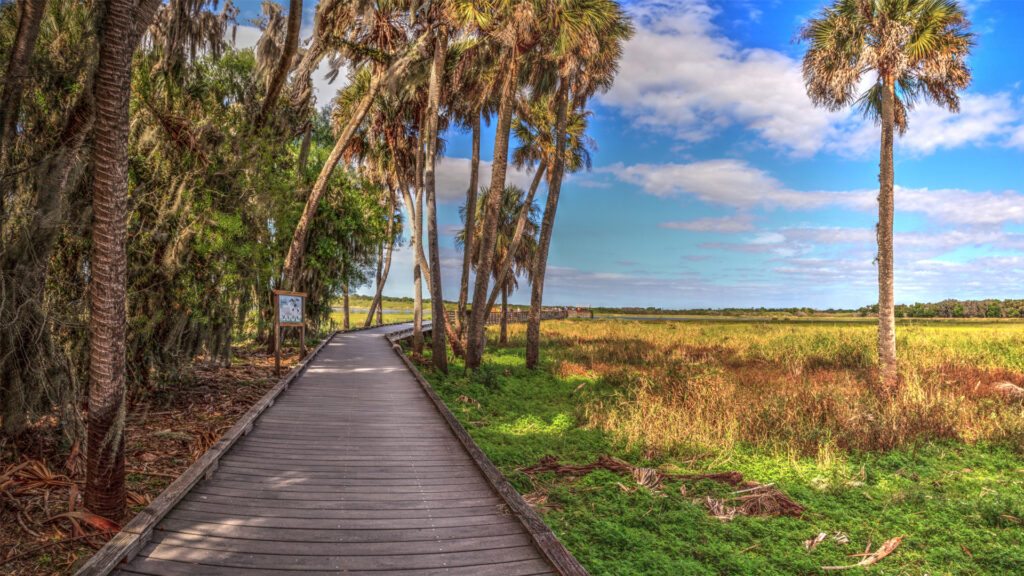 Florida’s land conservation strategy is being rewritten — and nature will pay the price 