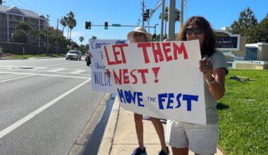 Protesters line up outside of Tradewinds Resort, claiming the Country Thunder Florida will disrupt nesting season of turtles and skimmers. (Spectrum News)