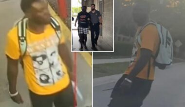 Haitian illegal immigrant Rolbert Joachim bludgeons Florida mother to death with hammer outside gas station