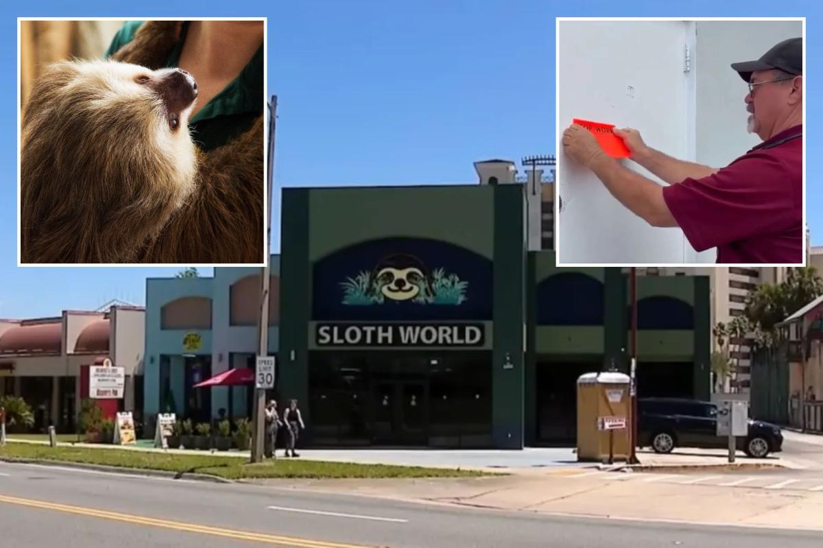 Florida 'slotharium' shuttered after probe found 31 sloths died in 'worst conditions possible'