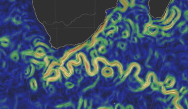 Ocean eddies are amplifying climate extremes in coastal seas, study finds