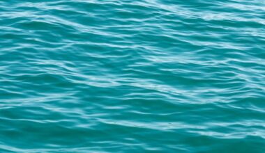 FIU experts in oceans, marine technology and sustainable policy | FIU News