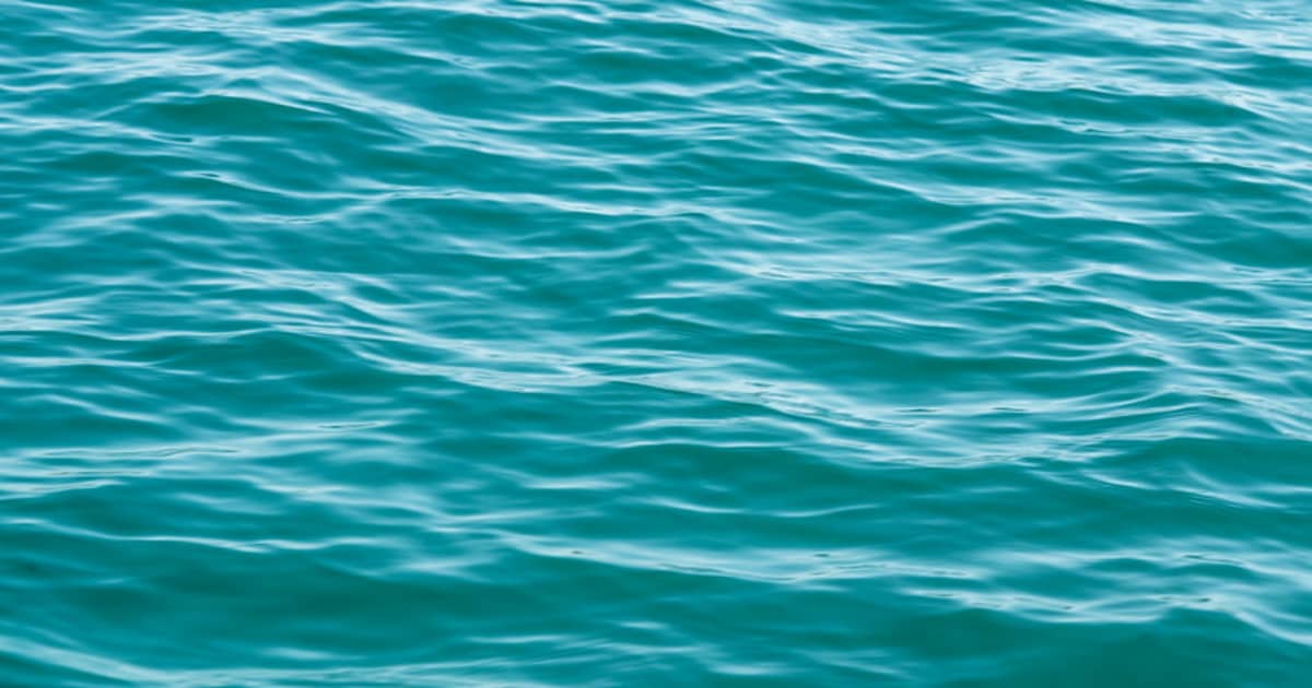 FIU experts in oceans, marine technology and sustainable policy | FIU News